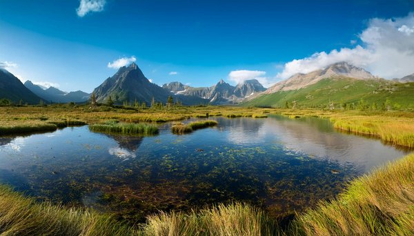 Où découvrir les traditions des tribus Berbères au Maroc?